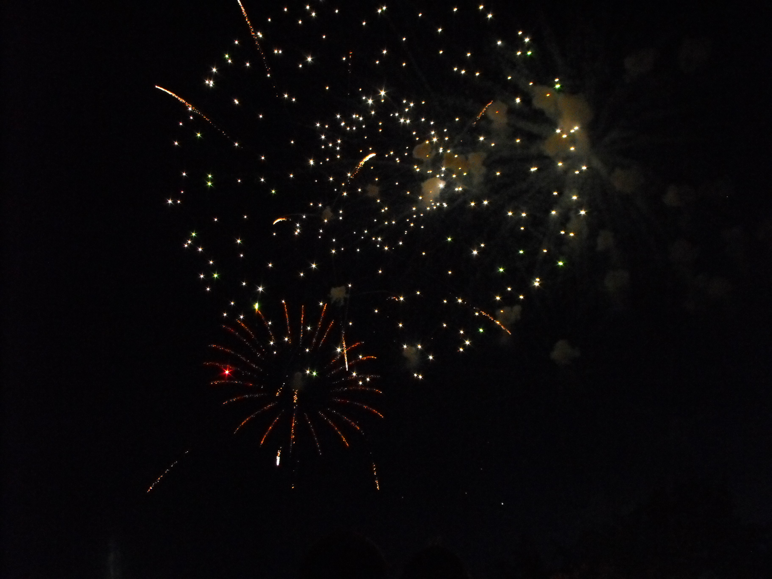 ./2010/Fourth of July/4th July Fireworks Wilm 0010.JPG